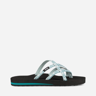 Teva Women's Olowahu Flip Flops Sale NZ (JOSRV-8396)